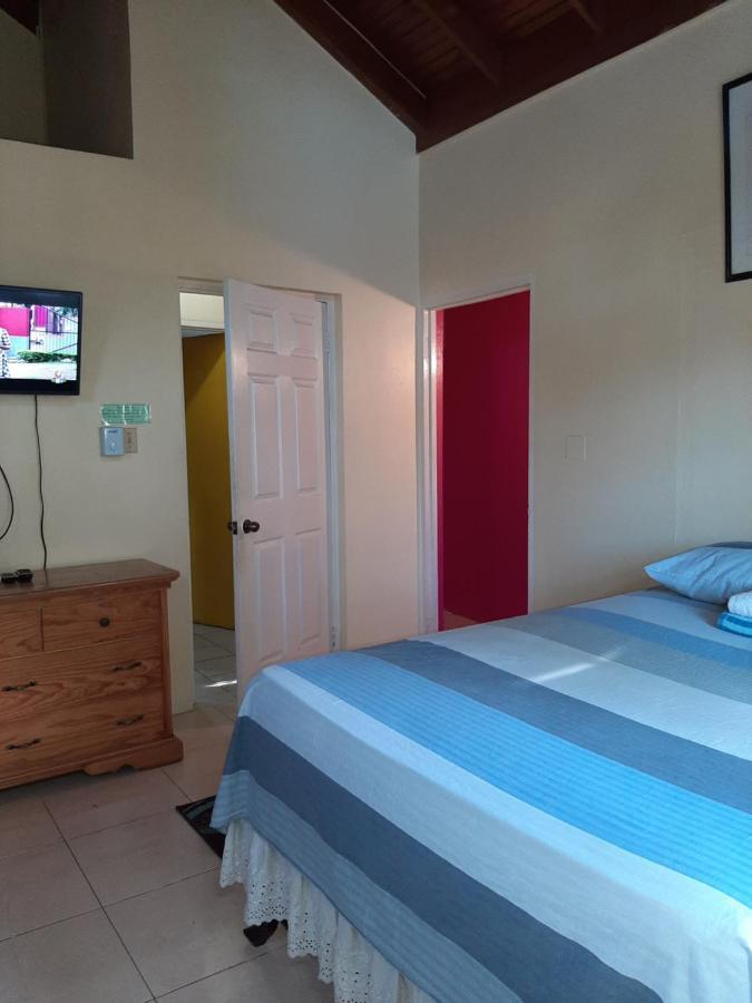 كينغستون Dancehall Hostel المظهر الخارجي الصورة