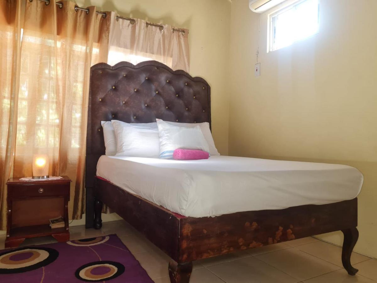 كينغستون Dancehall Hostel المظهر الخارجي الصورة