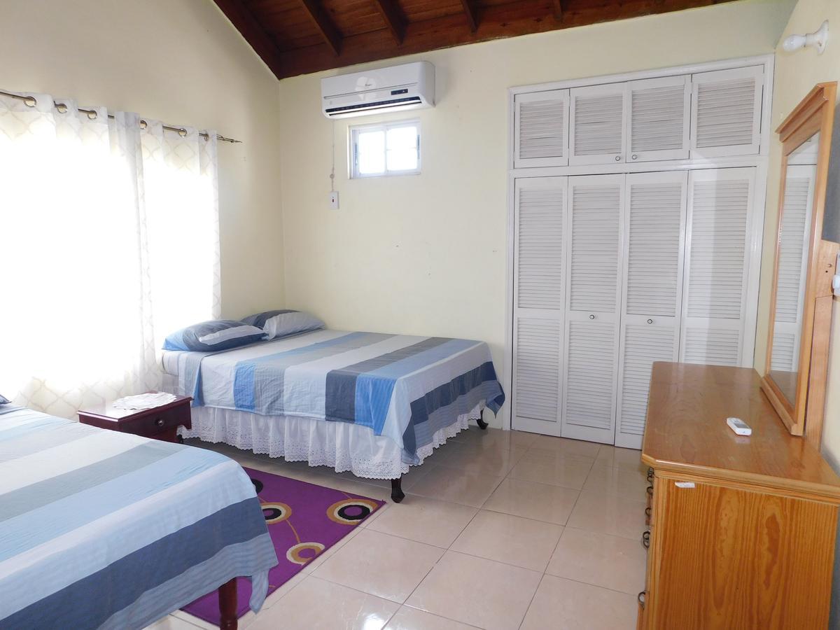كينغستون Dancehall Hostel المظهر الخارجي الصورة